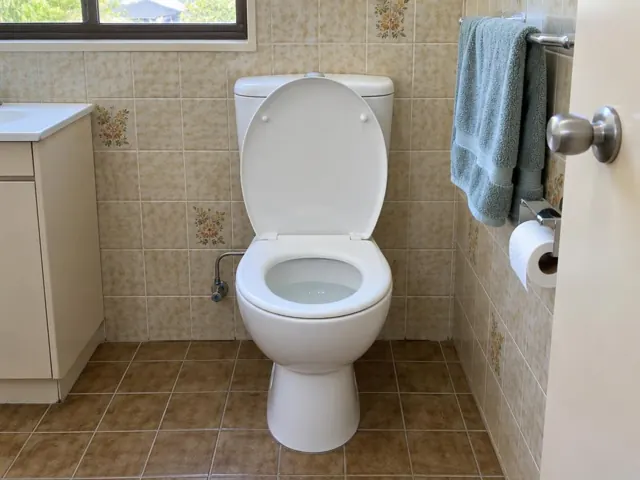 Clean white toilet in a tiled bathroom with towel rail and vanity in Jannali